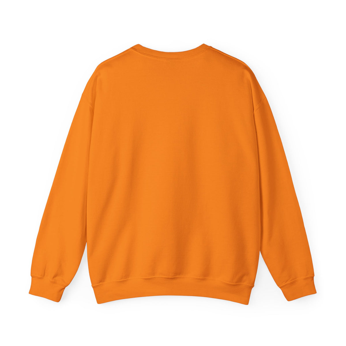 Playful Pump Silly Goose Sweatshirt