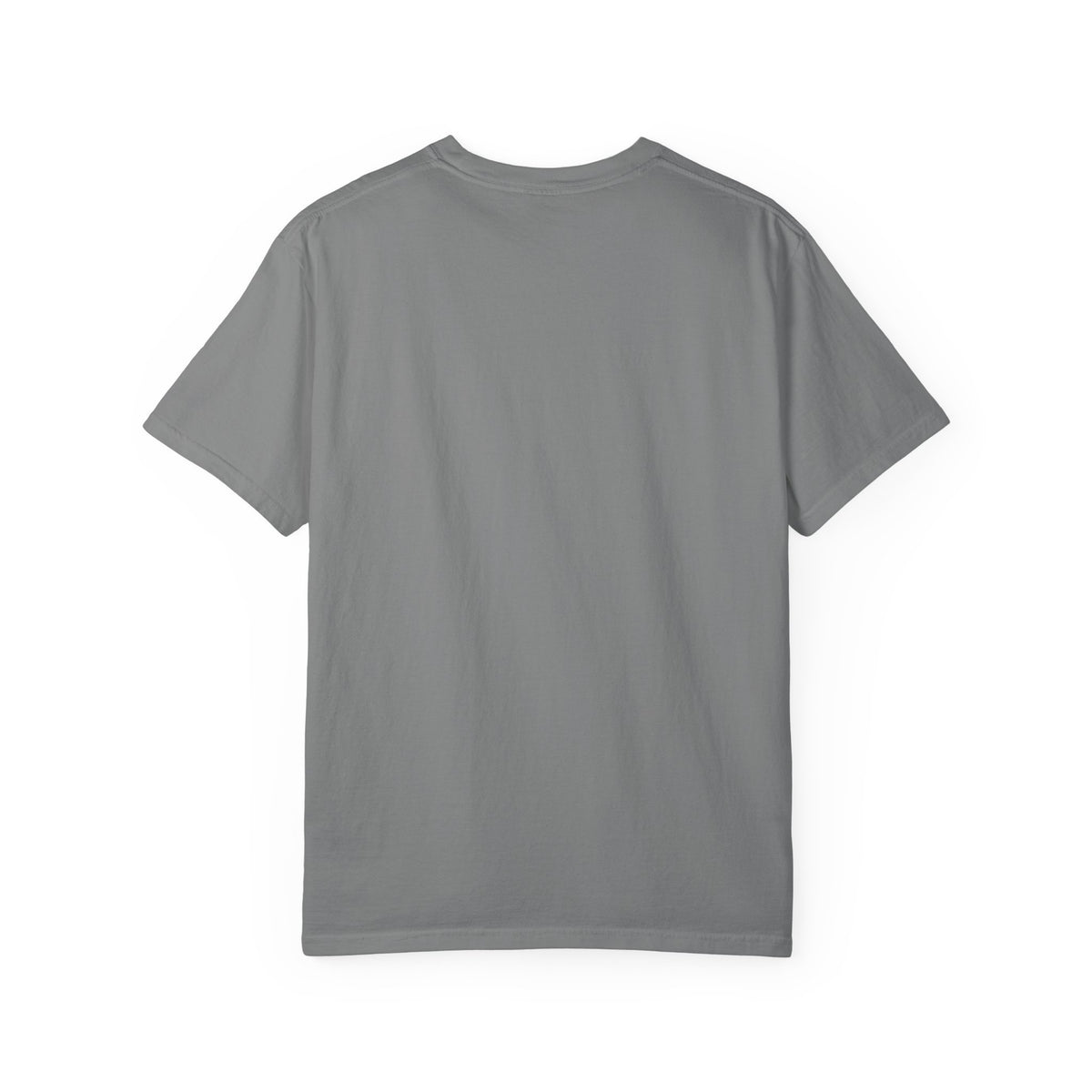 T-Shirt — "We're Equally Whack" Turtle & Duck Best Friends Graphic Tee