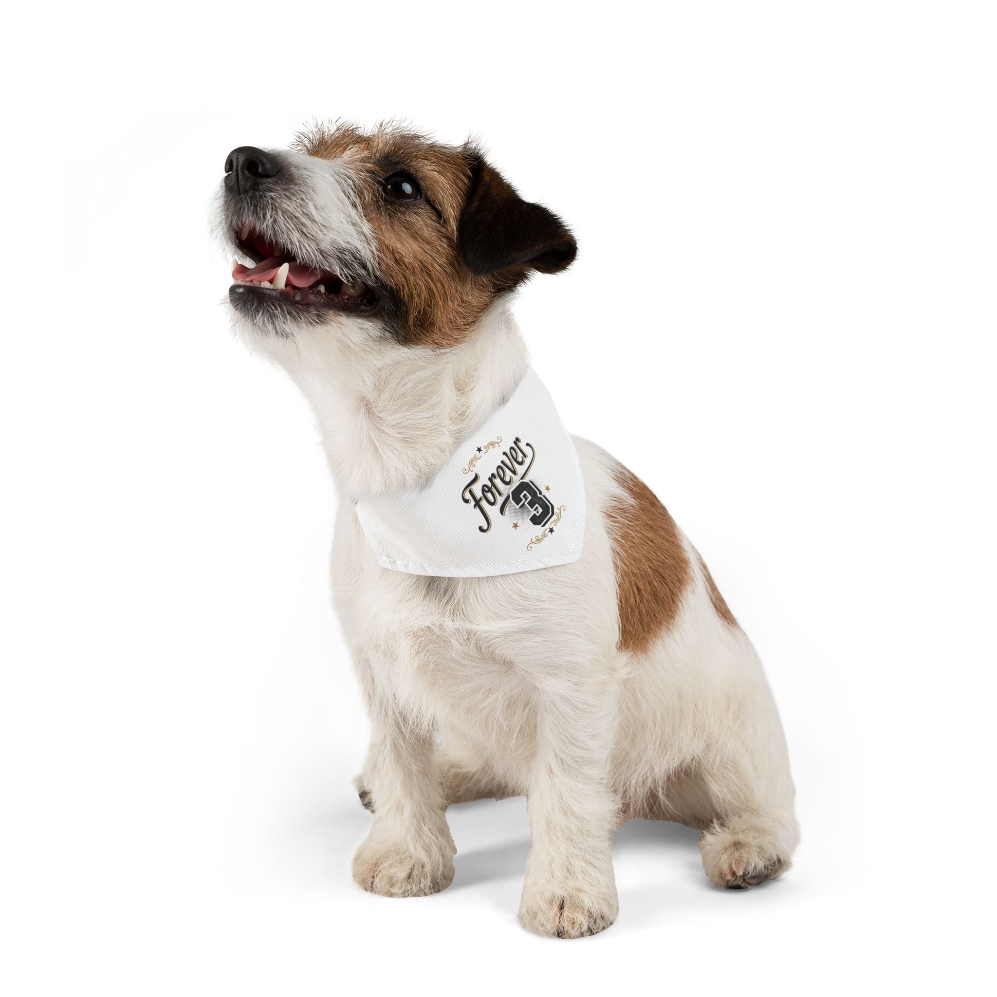 Pet Bandana — "Forever 3" Funny Dog Bandana (Forever 21 Parody)