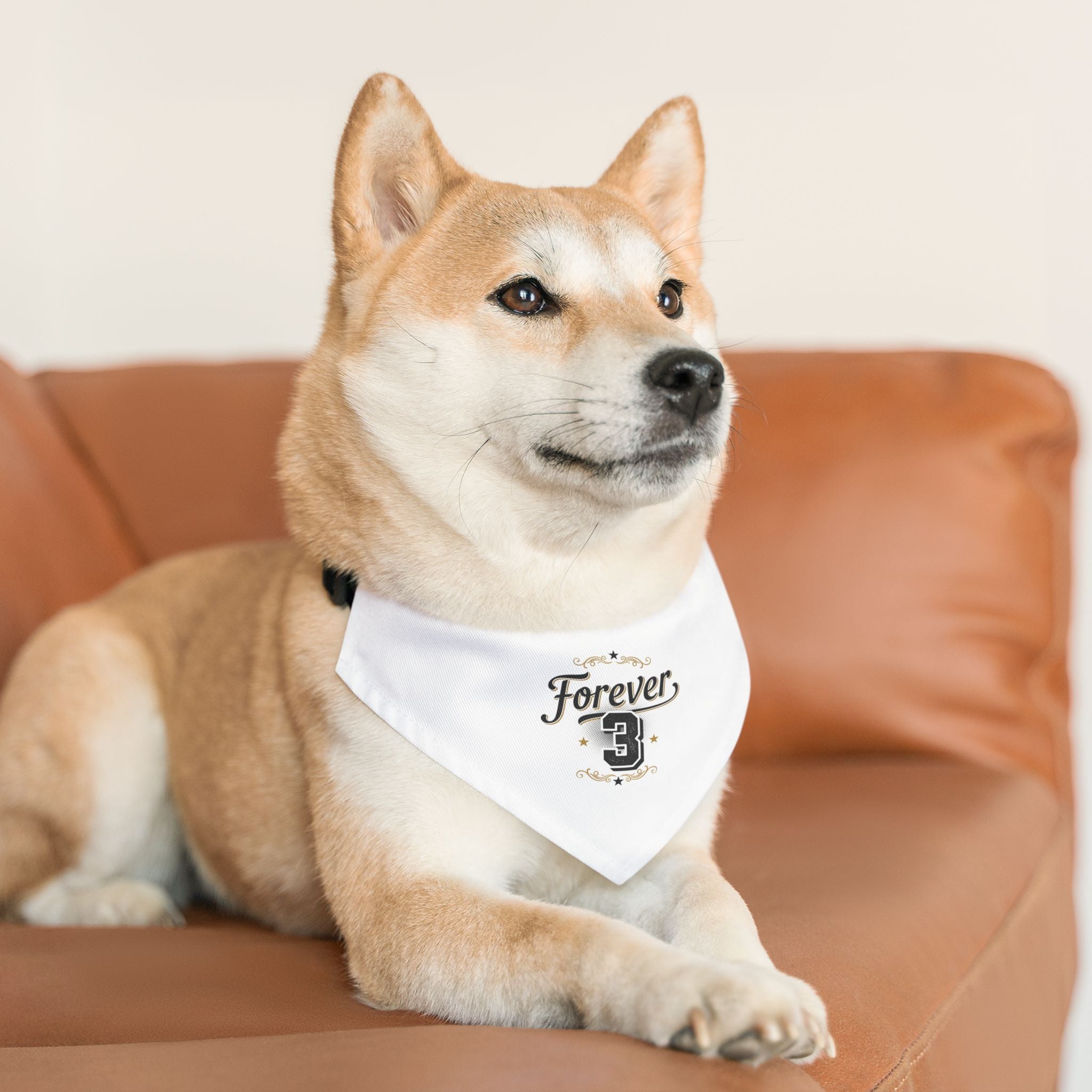 Pet Bandana — "Forever 3" Funny Dog Bandana (Forever 21 Parody)