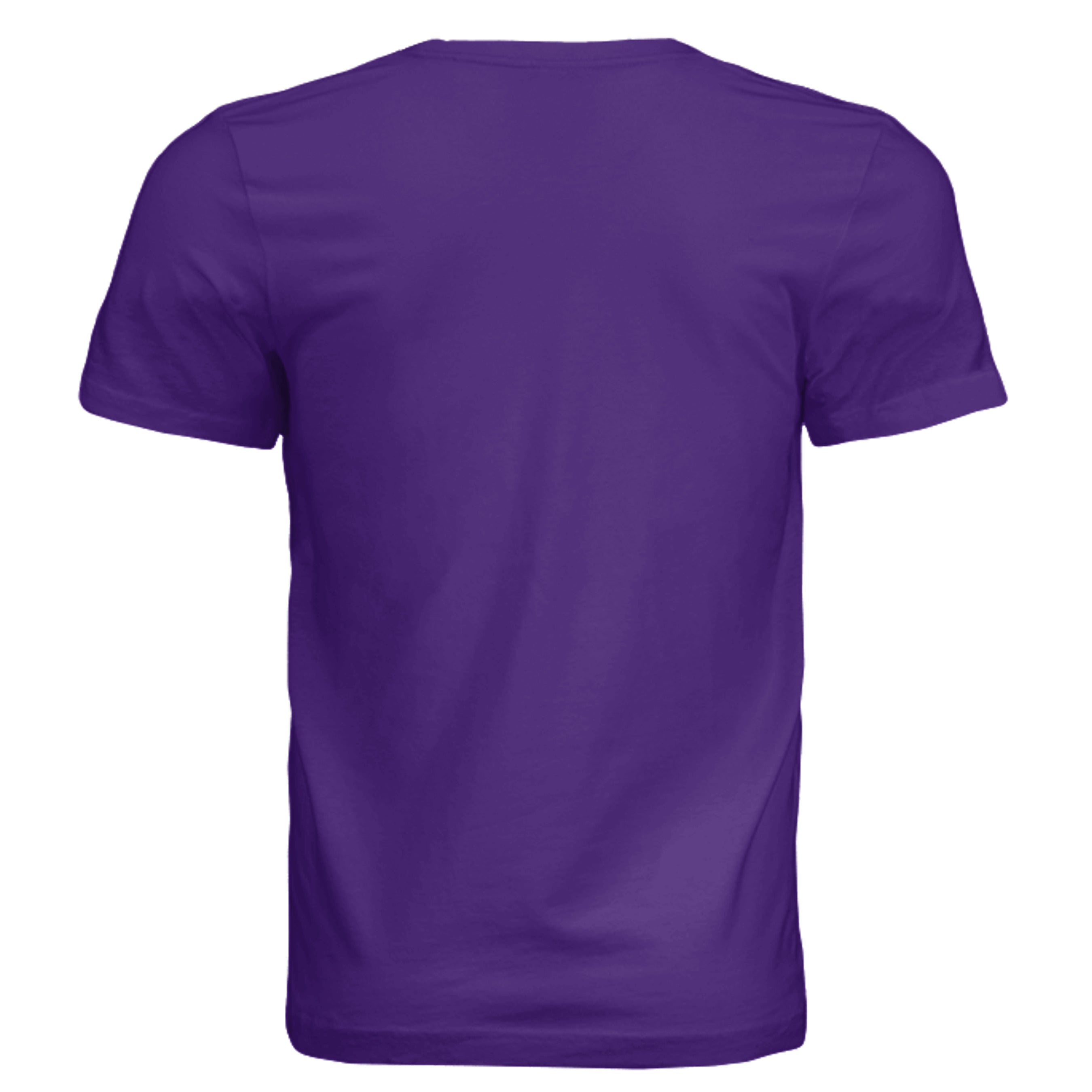 Solid Team Purple Triblend - 3413C - BACK